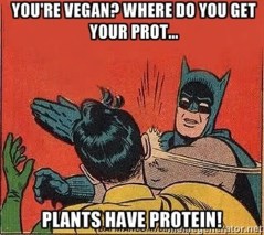 holy protein batman