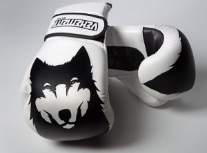 Vehement vegan gloves