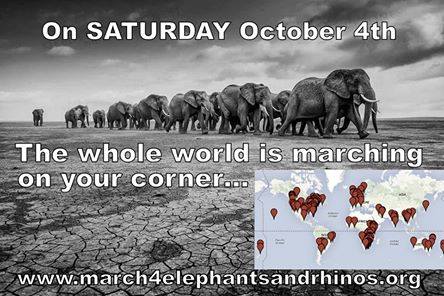 Global march for elephants and rhinos